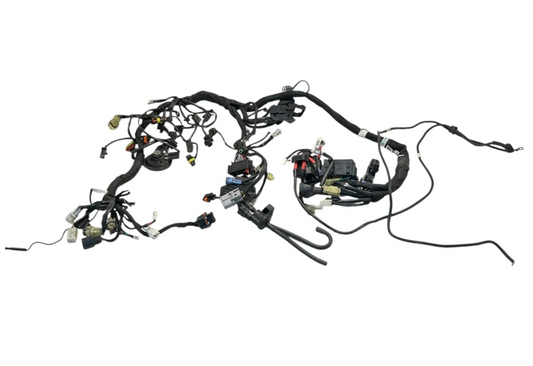 IMPIANTO ELETTRICO KTM DUKE 790 (77 KW)(2018-2020) CABLAGGIO COMPLETO